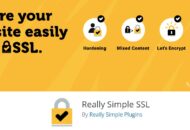 WordPress plugin Really Simple SSL